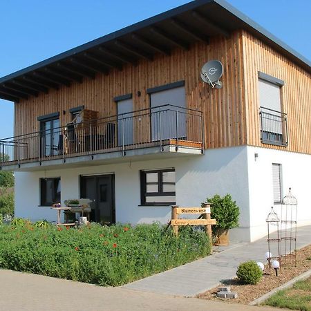 Ferienwohnungen "Blumenwiese" Dillingen an der Donau Dış mekan fotoğraf