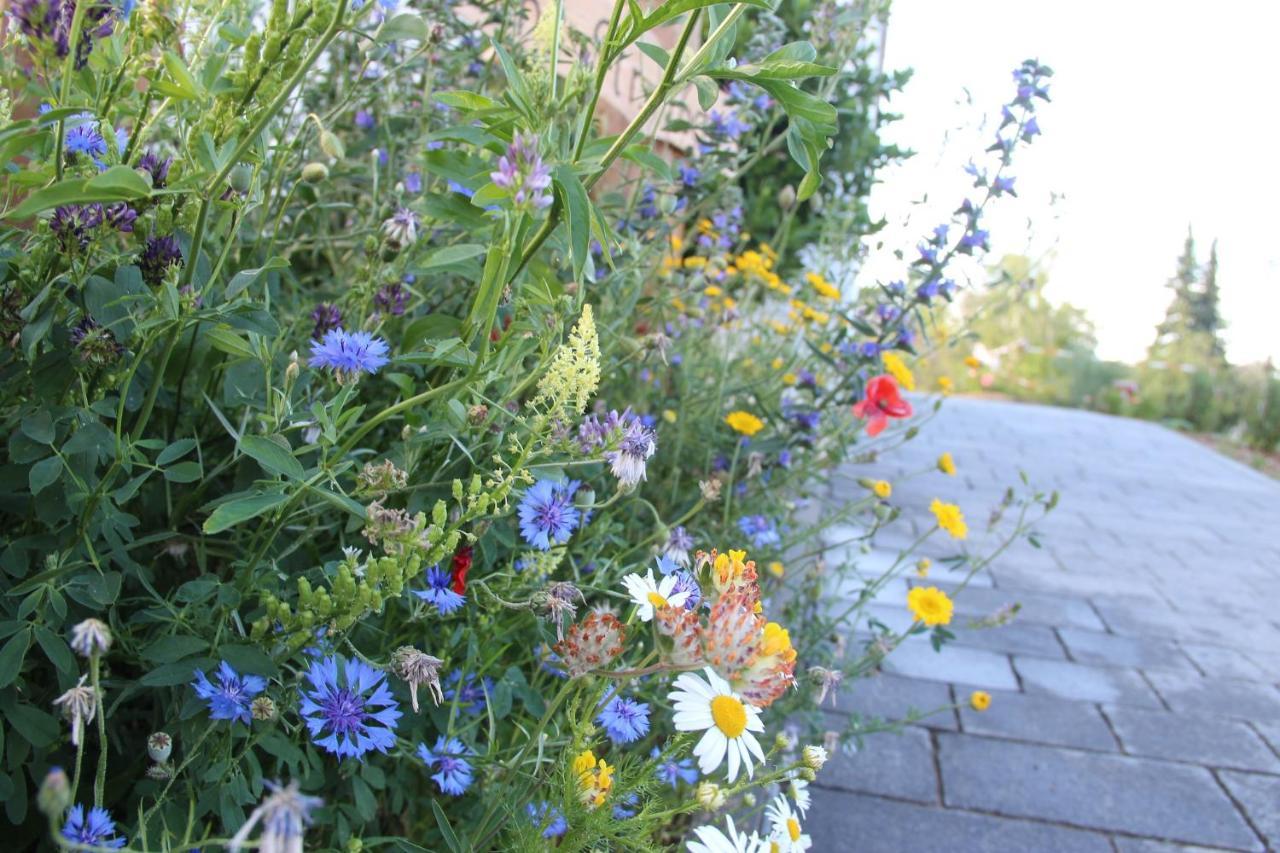 Ferienwohnungen "Blumenwiese" Dillingen an der Donau Dış mekan fotoğraf