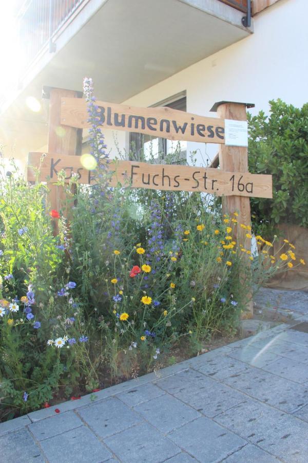 Ferienwohnungen "Blumenwiese" Dillingen an der Donau Dış mekan fotoğraf